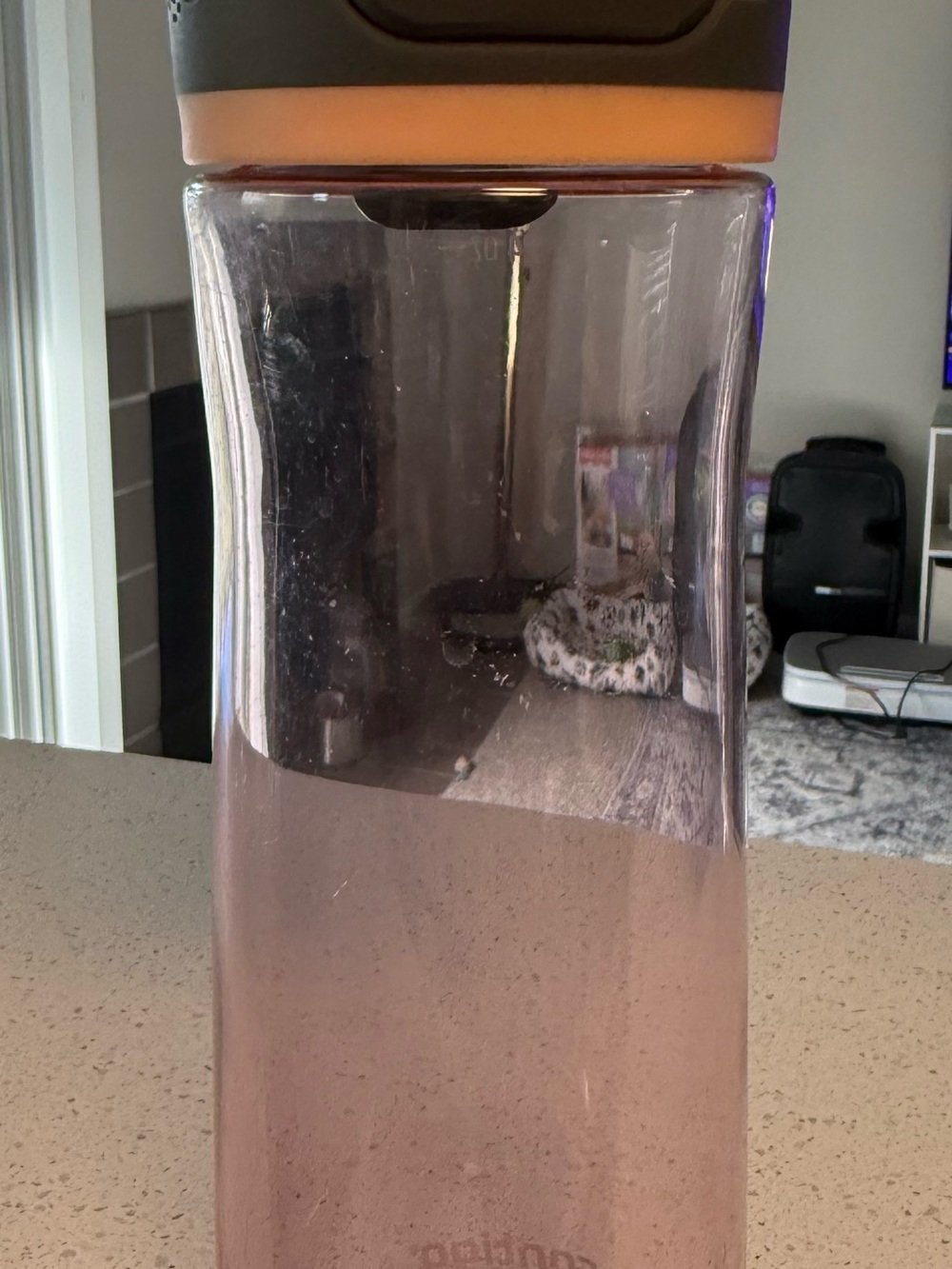 Contigo Ashland 24 oz Gray/Pink Flip Top Plastic Water Bottle w/ Straw, Reusable
